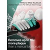 image:imageAquasonic Black Series Ultra Whitening Toothbrush  ADA Accepted Electric Toothbrush 8 Brush Heads amp Travel Case  40000 VPM Electric Motor amp Wireless Charging  4 Modes w Smart Timer1 Count Pack of 1